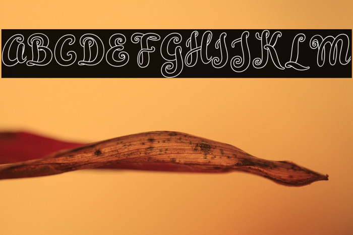 Simplisicky Example 1