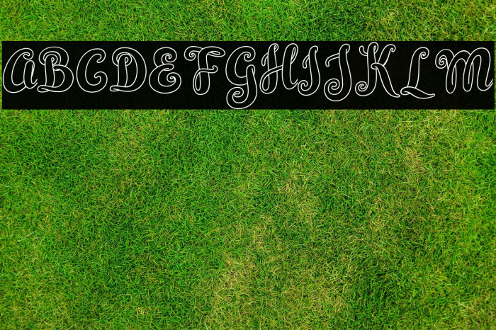 Simplisicky Example 2