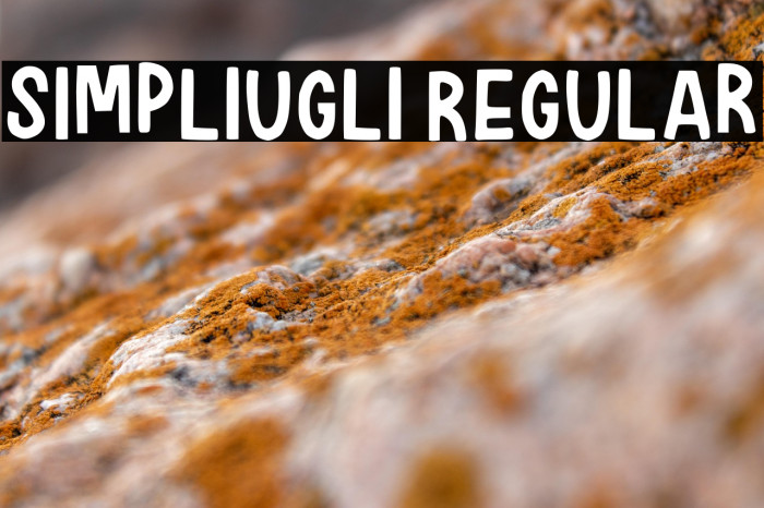 Simpliugli Regular Example 2