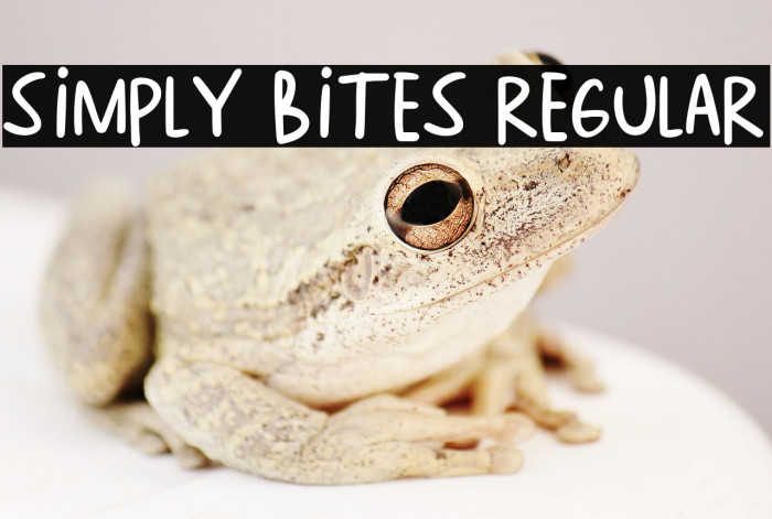 Simply Bites Regular Example 1