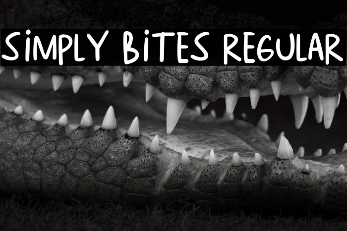 Simply Bites Regular Example 3