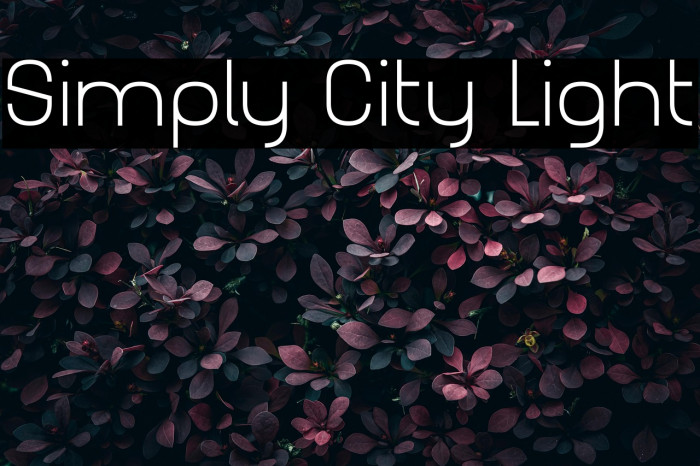 Simply City Light Example 2