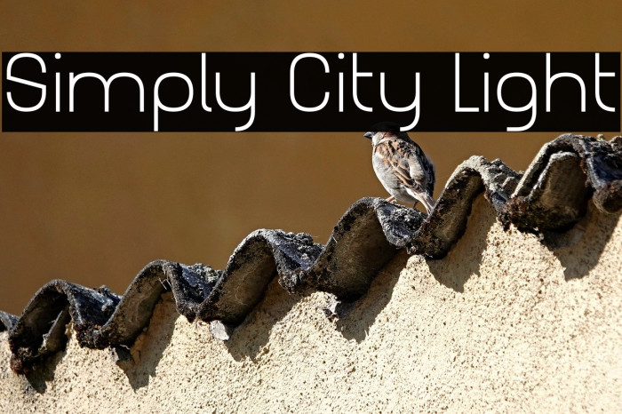 Simply City Light Example 3