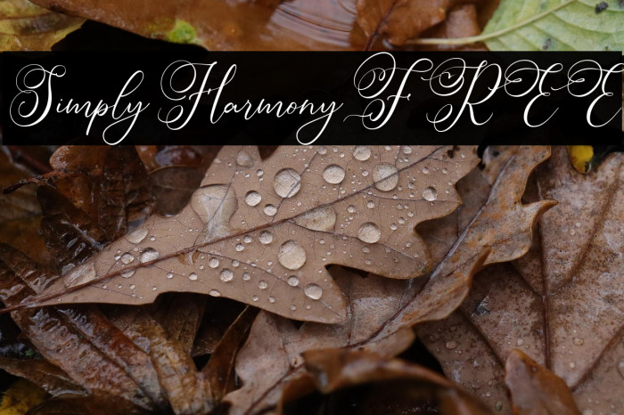 Simply Harmony FREE Example 1