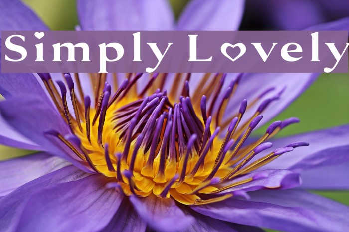 Simply Lovely Example 3