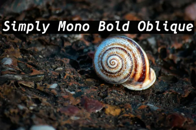 Simply Mono Bold Oblique Example 3