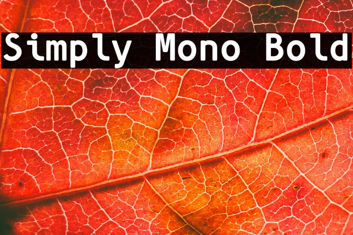 Simply Mono Bold Example 1