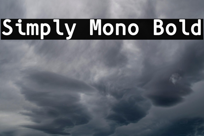 Simply Mono Bold Example 2