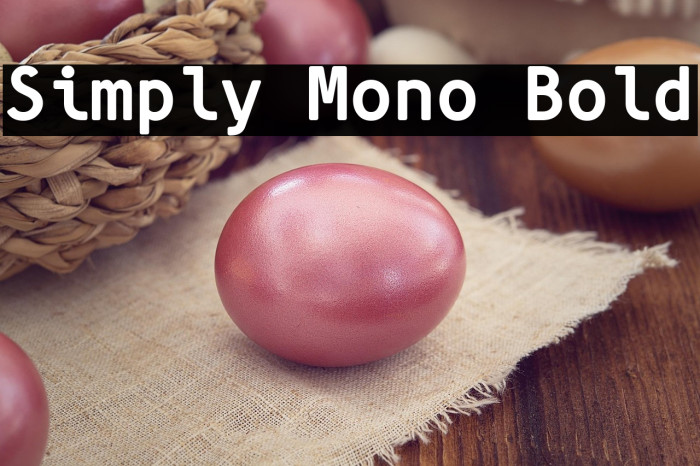 Simply Mono Bold Example 3
