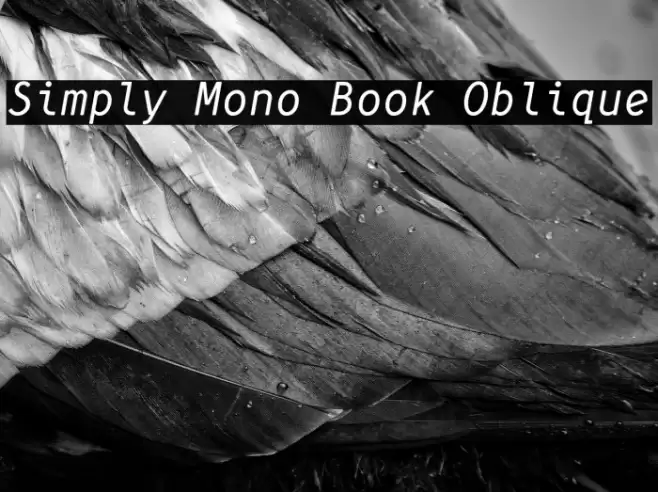 Simply Mono Book Oblique Font examples