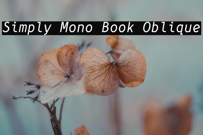 Simply Mono Book Oblique Example 2
