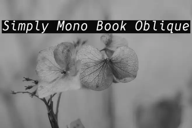 Simply Mono Book Oblique Font examples