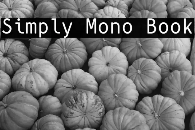 Simply Mono Book Font examples