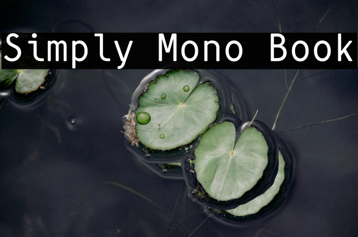 Simply Mono Book Example 3