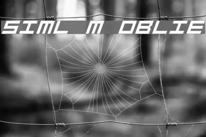 Simply Mono Oblique Font examples