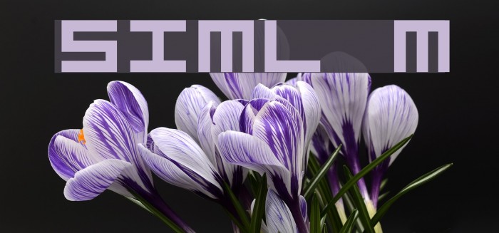 Simply Mono Font examples