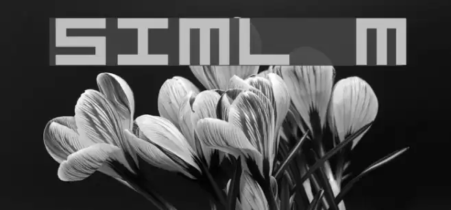 Simply Mono Шрифта examples