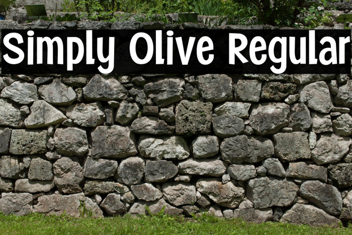Simply Olive Regular Example 2