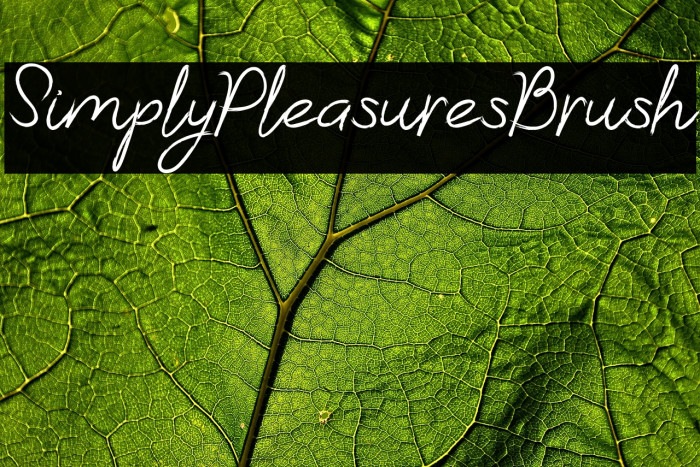 Simply Pleasures Brush Example 2