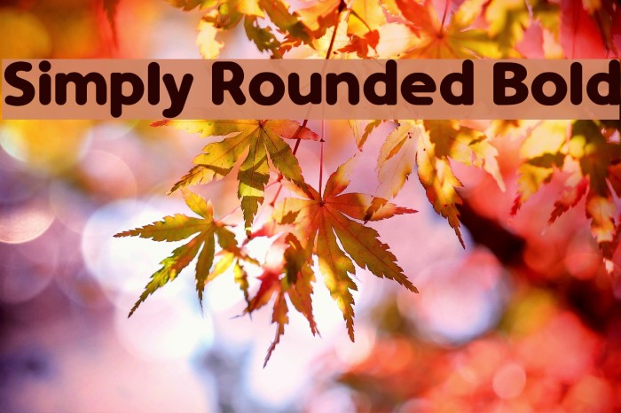 Simply Rounded Bold Font examples