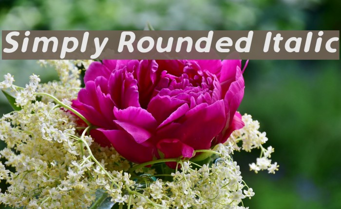 Simply Rounded Italic Font examples