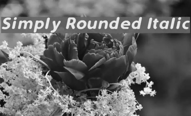 Simply Rounded Italic  examples