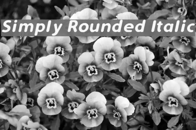 Simply Rounded Italic  examples