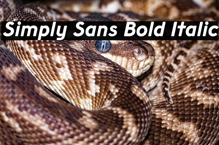 Simply Sans Bold Italic Example 1