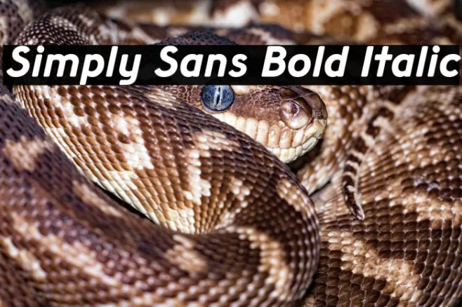 Simply Sans Bold Italic Example 1