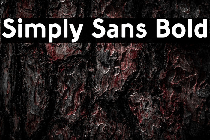 Simply Sans Bold Example 2
