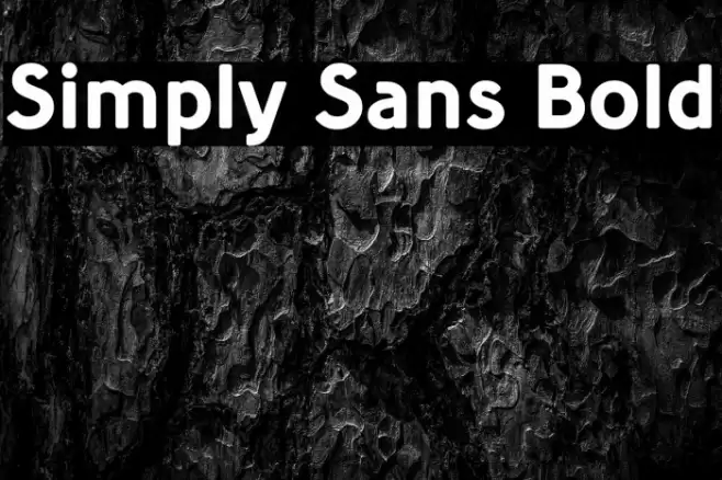 Simply Sans Bold خط examples
