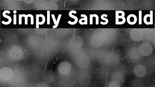 Simply Sans Bold خط examples