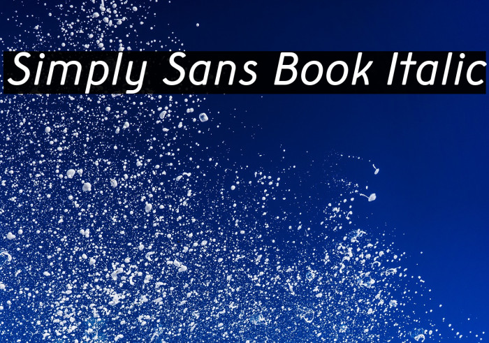 Simply Sans Book Italic Example 3