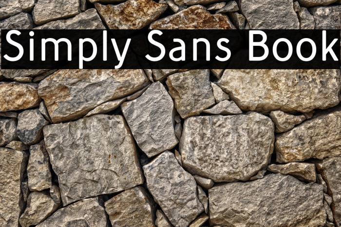 Simply Sans Book Example 1