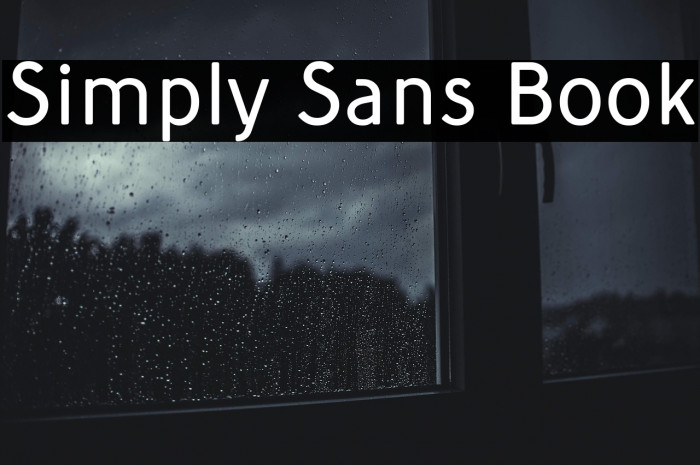 Simply Sans Book Example 2
