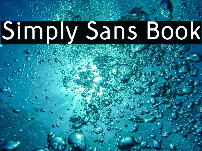 Simply Sans Book Example 3