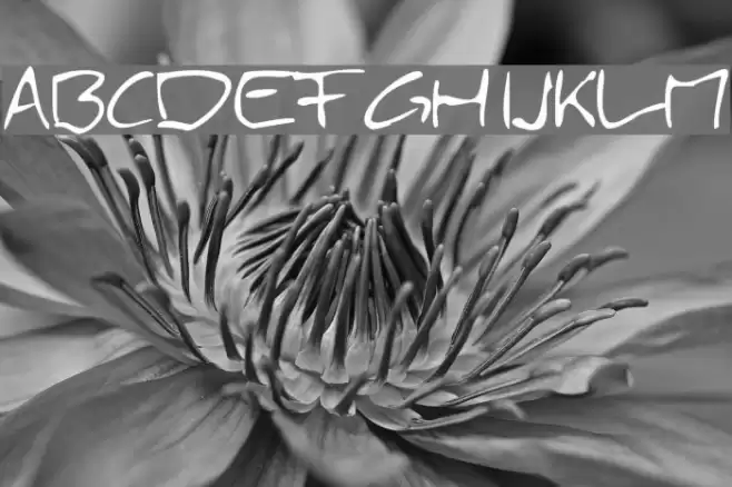 Simply21 Font examples