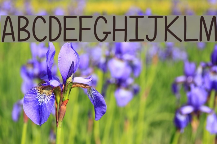 SimplyComplicated Font examples