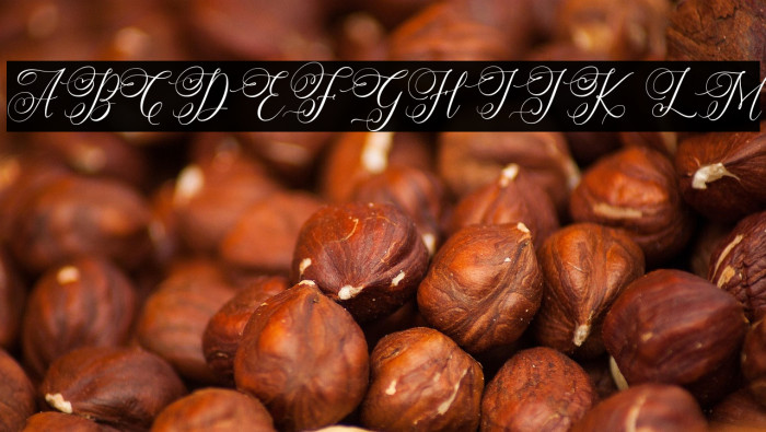 SimplyHarmonyFREE Example 1