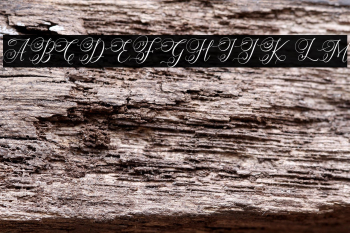 SimplyHarmonyFREE Example 3