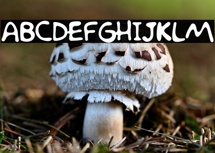 Simpsonfont Example 1