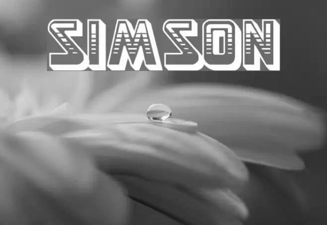Simson Font examples