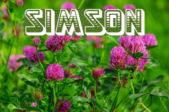 Simson Font examples