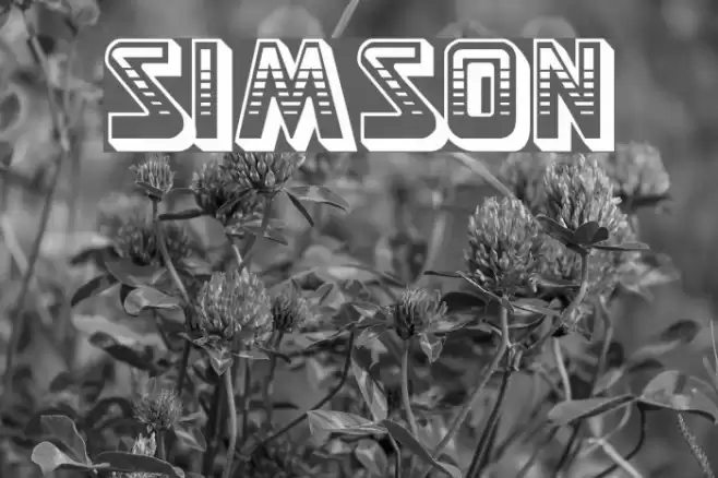 Simson Font examples
