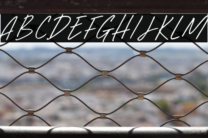 Simulate Minds Example 3