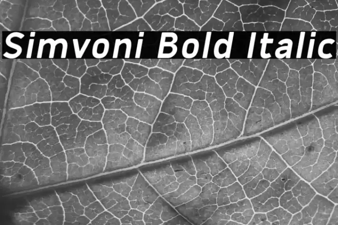 Simvoni Bold Italic Font examples