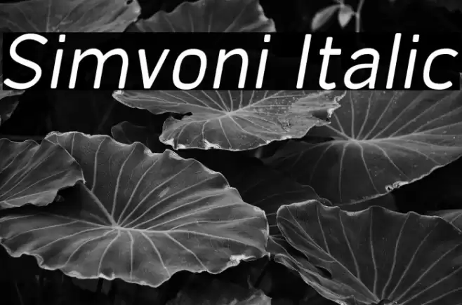 Simvoni Italic Font examples
