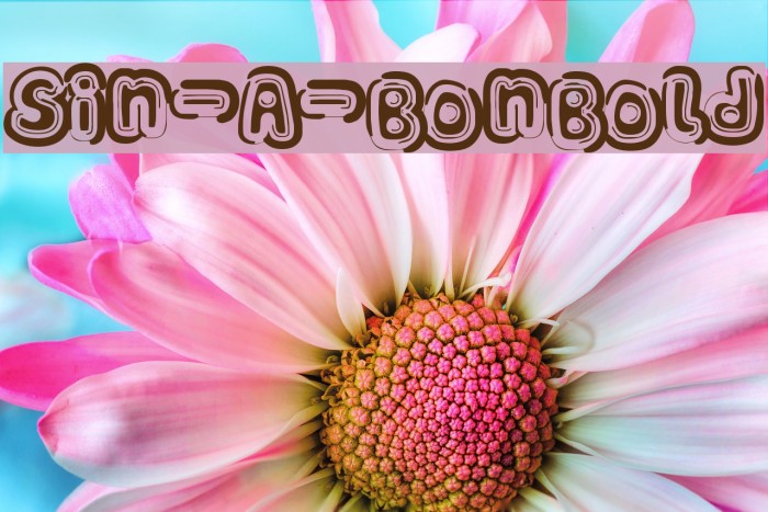 Sin-A-Bon Bold Font examples