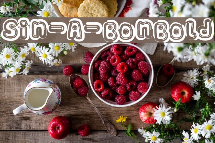 Sin-A-Bon Bold Font examples