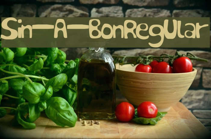 Sin-A-Bon Regular Font examples